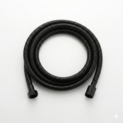 Filtered Shower Head - 4 Modes